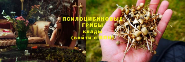 apvp Армянск