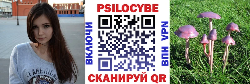 kraken ССЫЛКА Рузаевка Галлюциногенные грибы Cubensis